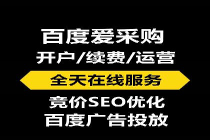 深入解析SEM竞价托管的成功案例